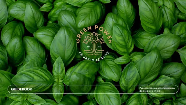 Обложка гайдбука по фирменному стилю Green Power со знаком-деревом