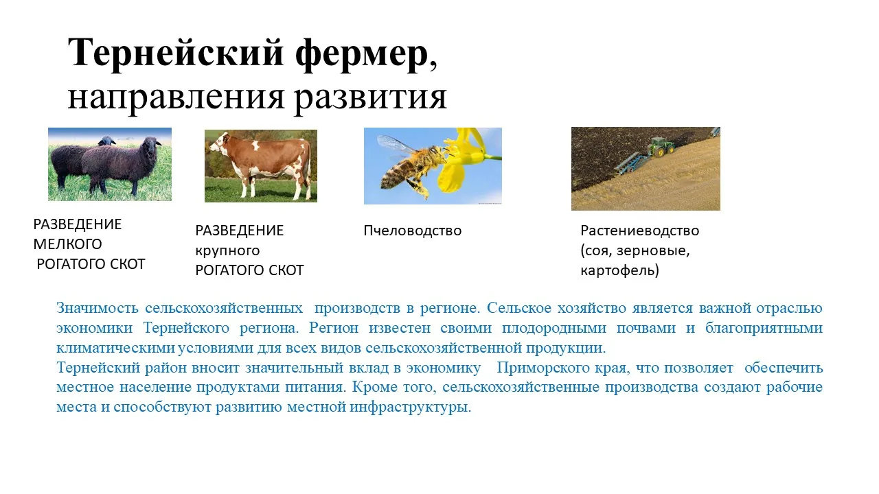 Исходный слайд ТЗ с направлениями развития
