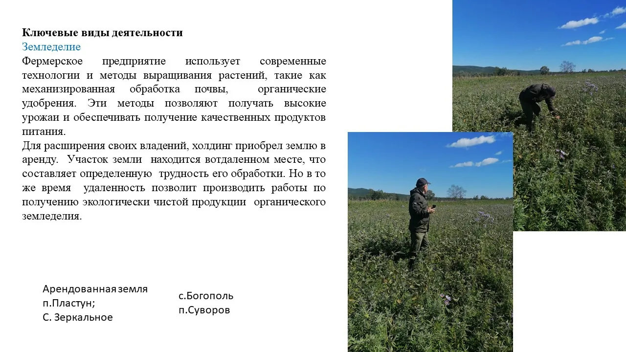 Исходный слайд ТЗ о земледелии