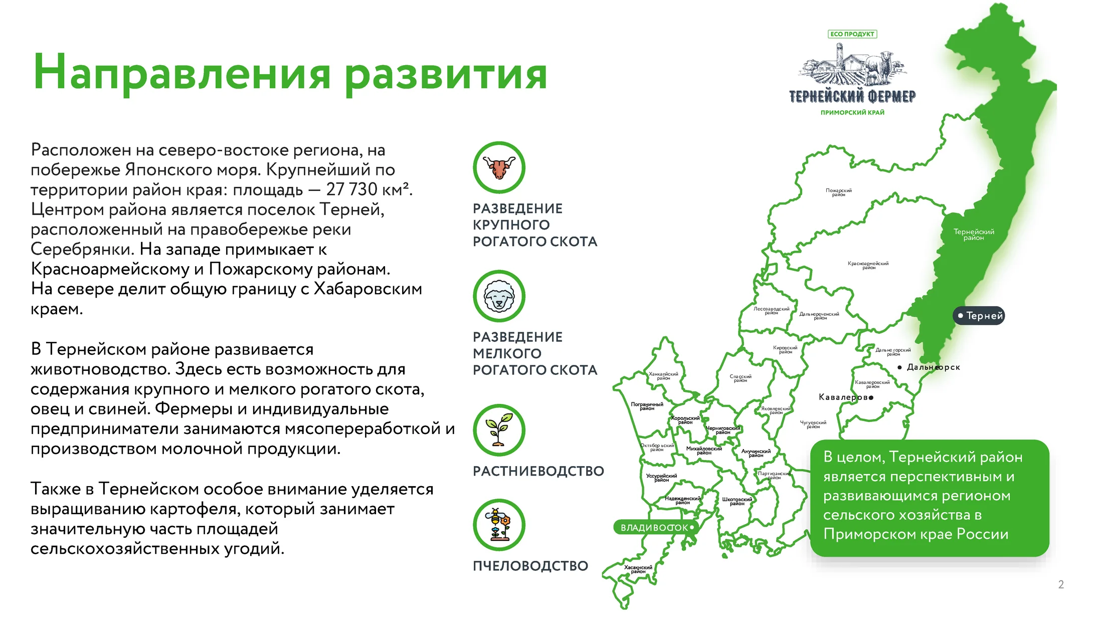 Финальный слайд с направлениями развития