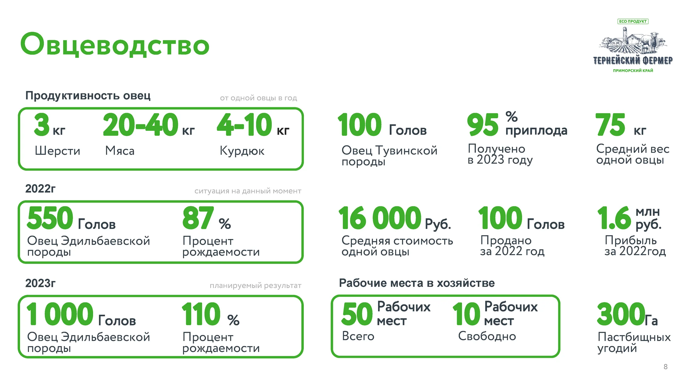 Финальный слайд с показателями продуктивности