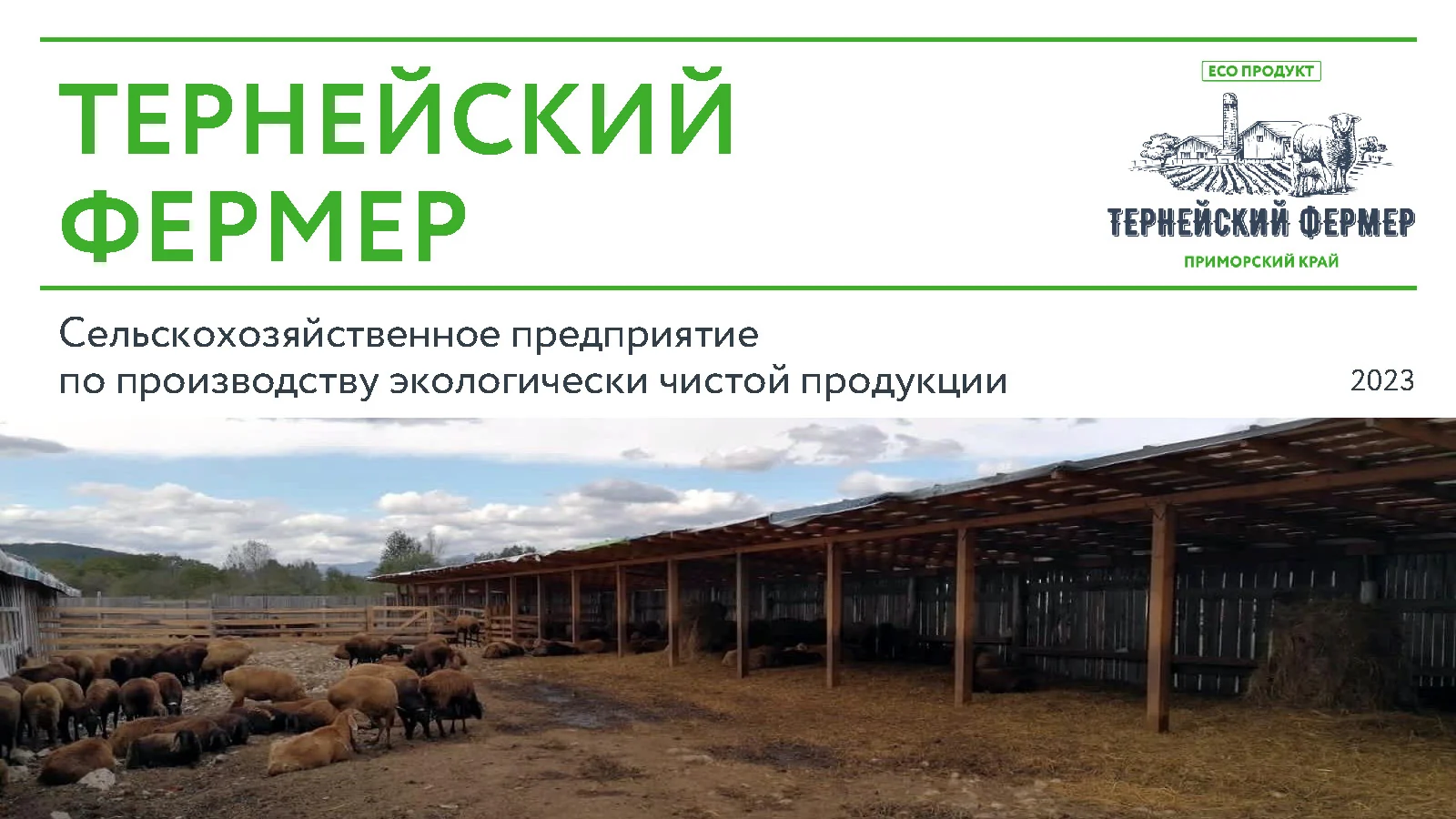 Титульный слайд презентации Тернейский фермер