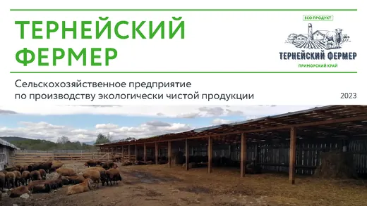 Слайд презентации Тернейский фермер 01