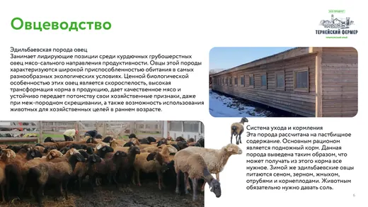 Слайд презентации Тернейский фермер 06