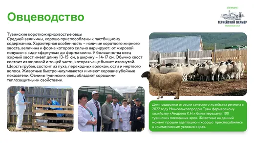 Слайд презентации Тернейский фермер 07