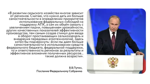 Слайд презентации Тернейский фермер 13