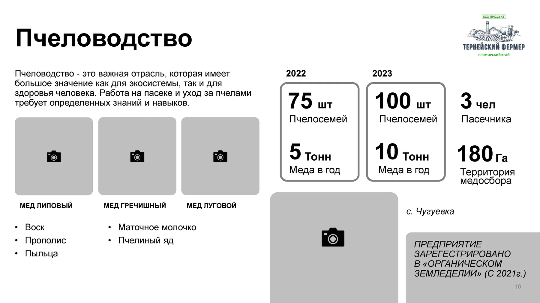 Черно-белый вайрфрейм слайда о пчеловодстве с группами фактов